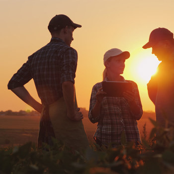 Farmers at dusk