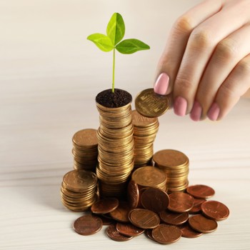 Stacks of coins with a plant on top