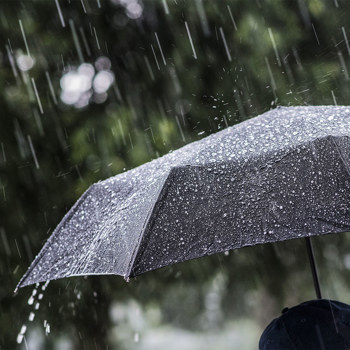 A black umbrella covered in water droplets