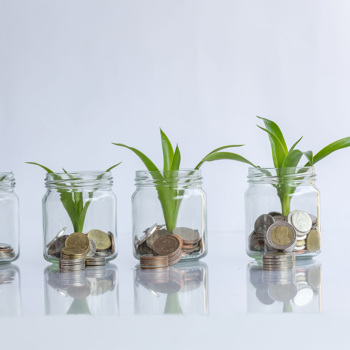 Pennies in Jars With Plants Growing