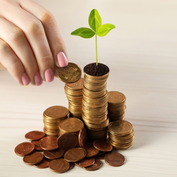 Multiple towers of coins with a small plant growing out of the tallest one.